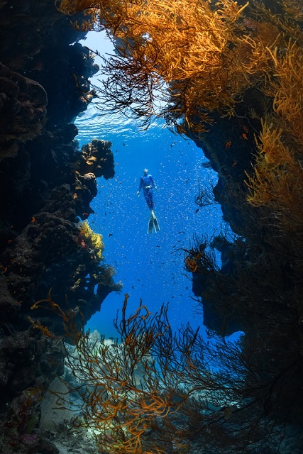 scuba diving NEOM